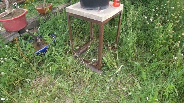 Сосна до и после мастер класса и обзор выставки бонсай. смотреть онлайн