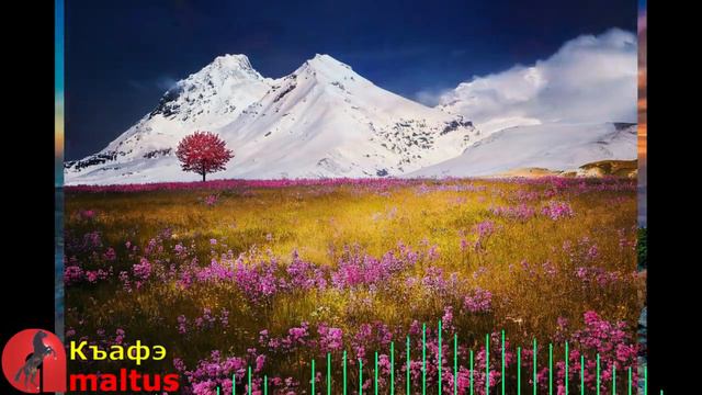 Къафэ смотреть онлайн