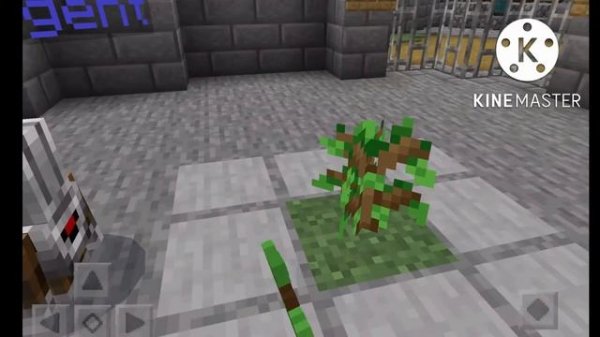 How to get Minecraft for free (Minecraft education edition) IOS