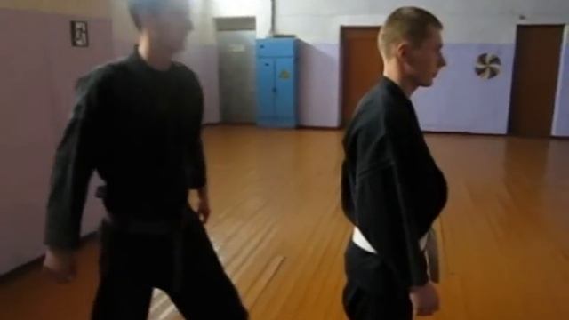 Джиу-Джитсу базовые техники для новичков смотреть онлайн