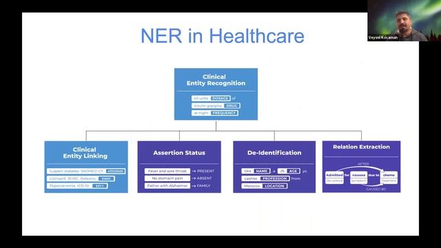 State-of-the-art Clinical Named Entity Recognition at Scale смотреть онлайн