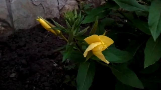 video-2012-06-14-21-14-08.mp4 смотреть онлайн
