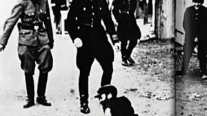 Нателла Болтянская  Бабий Яр