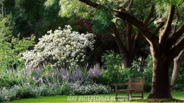 Позвонила любовница мужа. Зря, лучше она этого бы не делала. Риту понесло.... смотреть онлайн