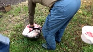 Тушенка из СОМА