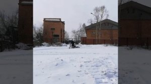 мотоблок на самодельных гусеницах. мотособака из мотоблока..снегоход из мотоблока.