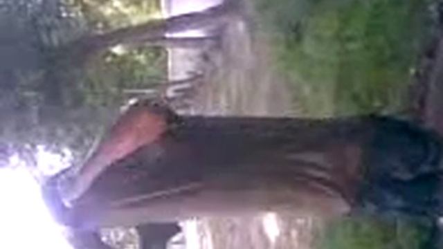 Душ после тренировки siyovush tj@mail ru смотреть онлайн