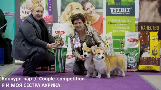 Питомник Планета Корги Эдельвейс представляет смотреть онлайн