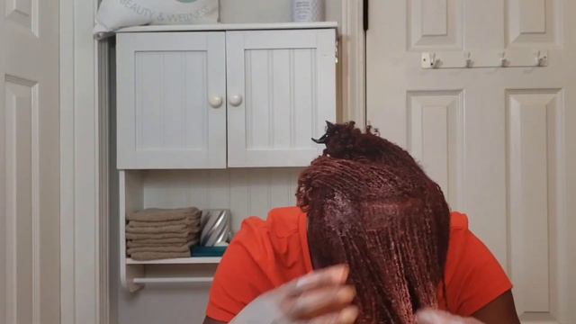 DIY Loc Color | How I Colored My Locs | Sisterlocks (Step By Step Tutorial For Beginners)