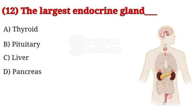 Medical General Knowledge MCQs // Anatomy MCQs for Nursing смотреть онлайн