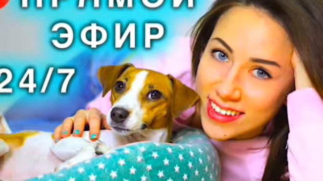 Элли Ди - Непоседы смотреть онлайн