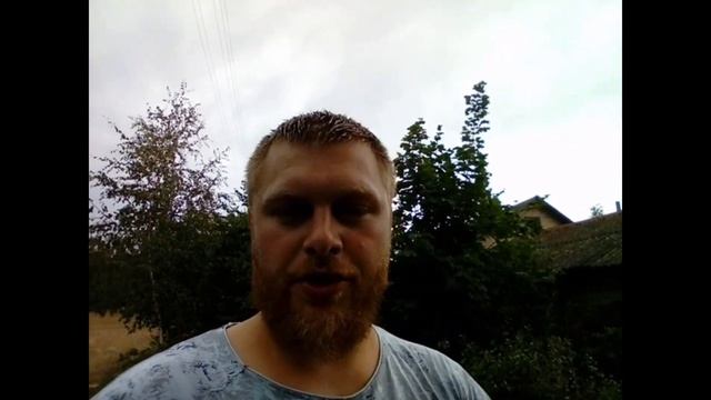 Укоренение зеленых черенков голубики. Первые почки. Сложности размножения смотреть онлайн