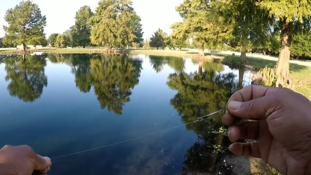 Pond Fishing - Zebco Authentic 11 Spincasting and Roostertails смотреть онлайн