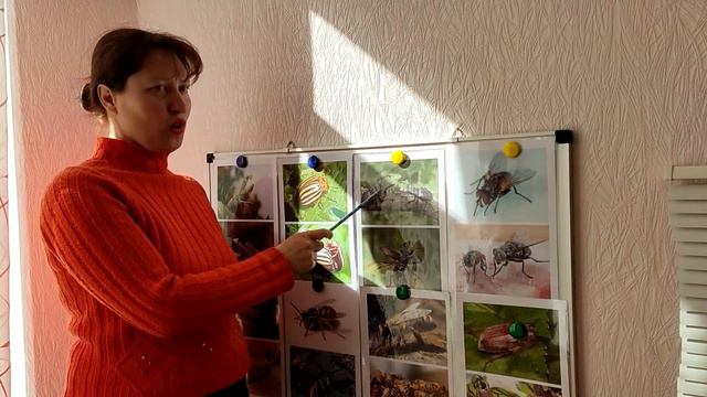 Метелики та жуки смотреть онлайн