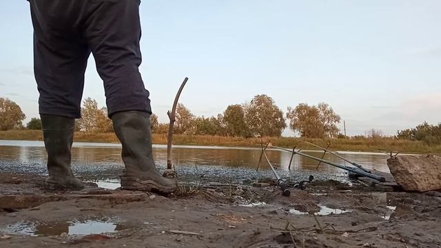 Поплавочная рыбалка ,Барнаул ,Змеиногорский тракт . День второй , часть первая !!! смотреть онлайн