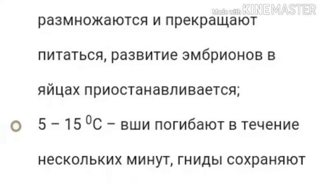 Крутой лайфхак по дезинфекции шапок от вшей. смотреть онлайн