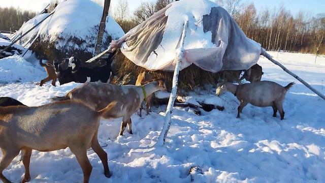 ХОРОШО В ДЕРЕВНЕ!!!МОРОЗНО!ЛЕГКО!ДУШЕВНО!СЧАСТЬЕ В КАЖДОМ ДНЕ!!! смотреть онлайн