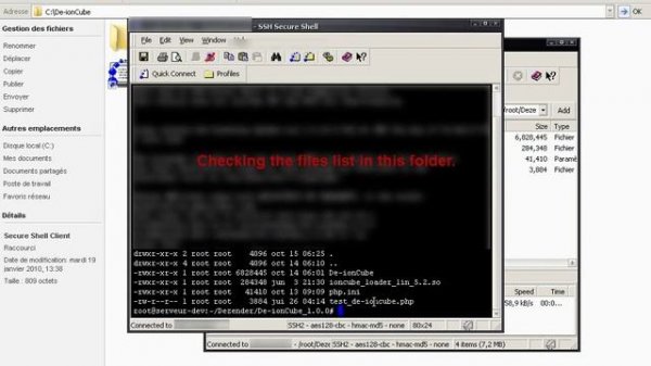 Uncrypting of an Ioncube script on DeZender.Net !
