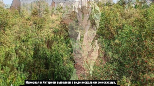 В "Галере" у шахты Анна в Янтарном 5 сентября 2024 смотреть онлайн