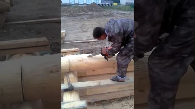 Дом из кедра большого диаметра в Русском стиле, пиление продольной паза http://elitdrevdom.ru смотреть онлайн