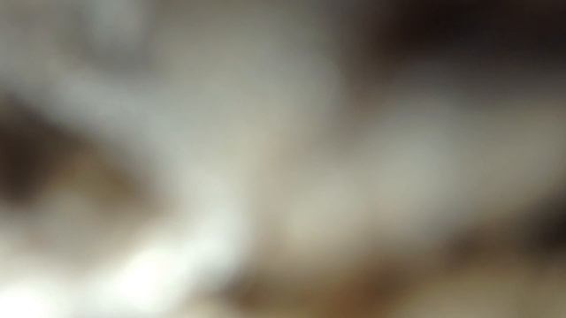 Ps4 cod ghosts how to fix error Ps4 CE-34878-0 смотреть онлайн