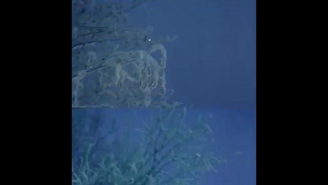 Карелия Водлозеро смотреть онлайн