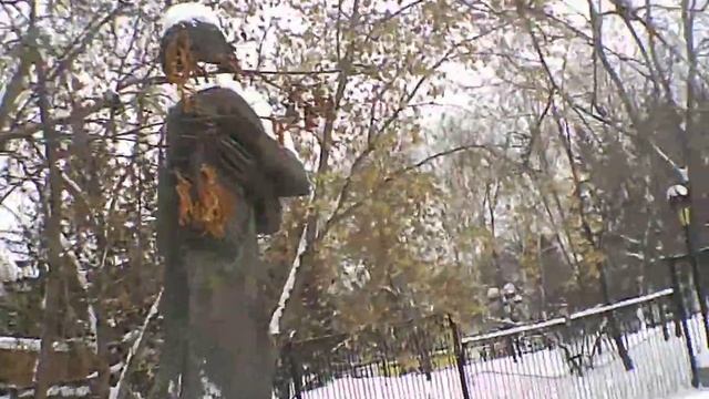 Памятник Пушкину смотреть онлайн