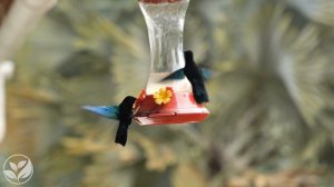 лечебная музыка для сердца и сосудов 🌿 успокаивает нервную систему и радует душу, Нежная музыка #4