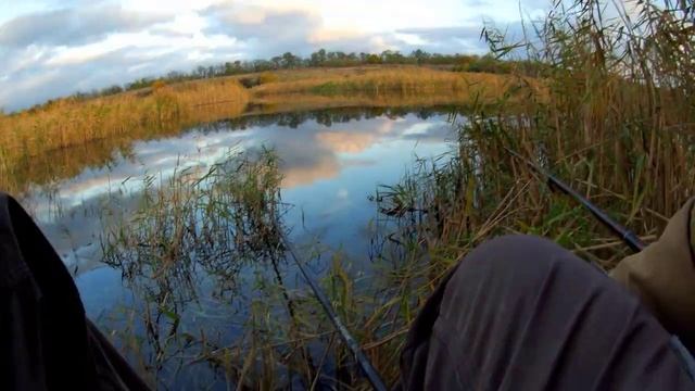 Рыбалка на поплавок Закрытие сезона рыбалки на ставке ловля карася на чеснок осенняя рыбалка смотреть онлайн