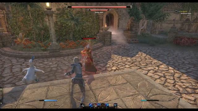 Elder Scrolls Online Elsweyr Bone Golem Versus Euraxia Tharn смотреть онлайн