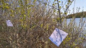 Какая дробь лучше на утку??? Дистанция 45 метров!!!                        Дробь номер 3&5.