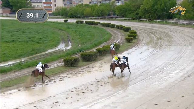 4-я Скачка. ПРИЗ ПАМЯТИ ГЕРОЯ СОВЕТСКОГО СОЮЗА М.А.ЯХОГОЕВА (ГР. 3) Нальчикский ипподром 09.05.2023 смотреть онлайн