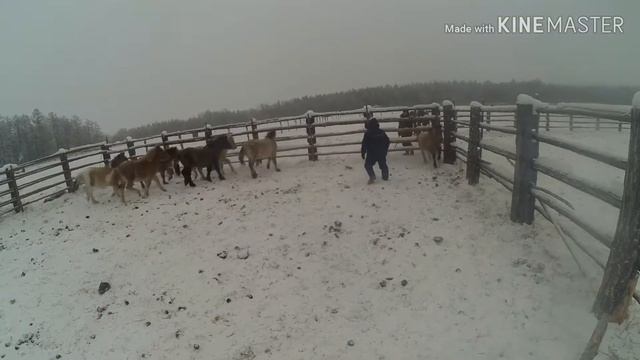 Убаьа 2018 смотреть онлайн