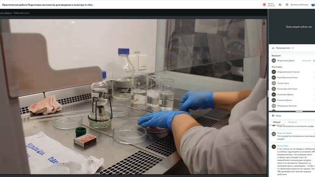 19 20 Практическая работа Подготовка эксплантов для введения в культуру in vitro смотреть онлайн
