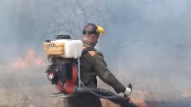 берегите природу !!!! 11 смотреть онлайн