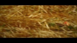 "Песня Вольная". Исполняет В. Бирюкова. Слова и музыка Т. Маруговой.