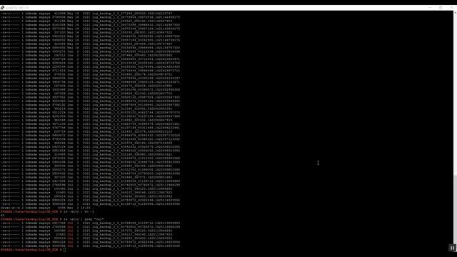 SAP Basis HANA admin OS Linux basic commands part 2 смотреть онлайн