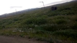 Чукотка Угольные-копи