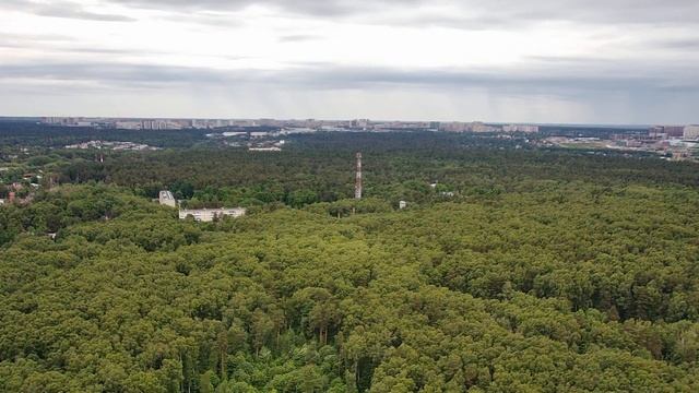 Мещерский лес с высоты 120 метров смотреть онлайн
