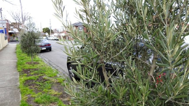 Nikon Coolpix p900 Photo смотреть онлайн