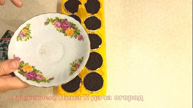 ОБАЛДЕННЫЙ СПОСОБ ПОСЕВА СЕМЯН ЛОБЕЛИИ НА РАССАДУ В ЯЙЦА! БЫСТРЫЕ ВСХОДЫ