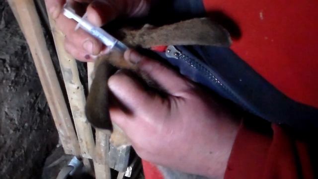 Прививка от миксаматоза у кролей .Inoculation from mixamatosis in rabbits. смотреть онлайн