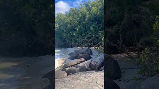 Сейшелы. Seychelles. 塞舌尔。 смотреть онлайн