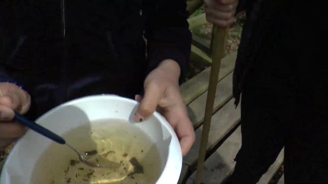 KVS - 2019. Урок биологии в Кемерском национальном парке. смотреть онлайн