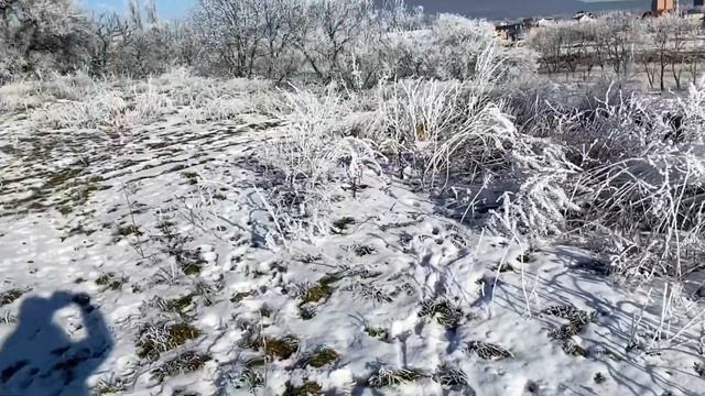 Пятигорское озеро. Пятигорск. КМВ. Фотограф - Астахова Мария
