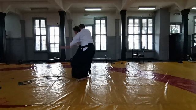 Prikaz vestine - Aikido смотреть онлайн