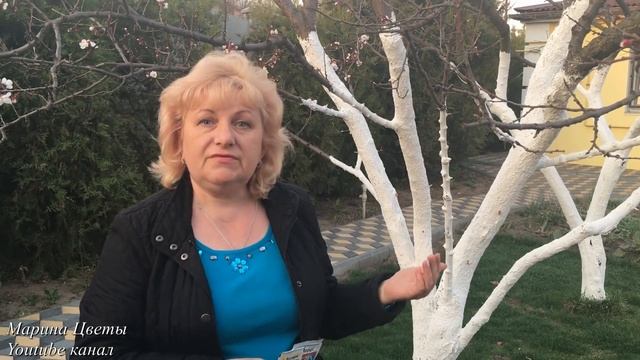 Монилиоз. СРОЧНО...SOS !!! Обработка, опрыскивание деревьев в саду. Сохраните урожай смотреть онлайн