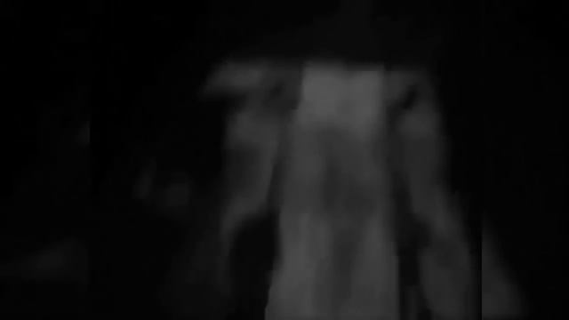 5 ЖУТКИХ СУЩЕСТВ, СНЯТЫХ НА КАМЕРУ. Мистика и Чертовщина! смотреть онлайн