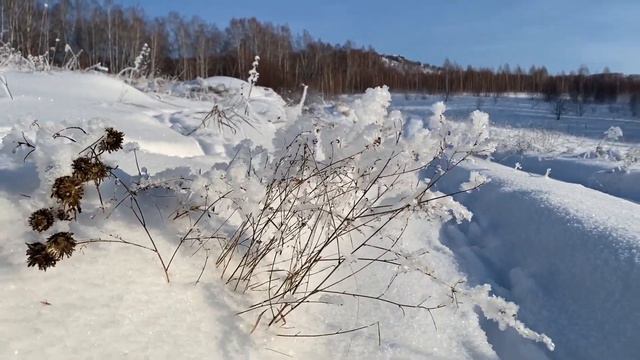 Гора Урал Курагинский район.  #splitboarding #freerides #backcountryskiing #splitboard