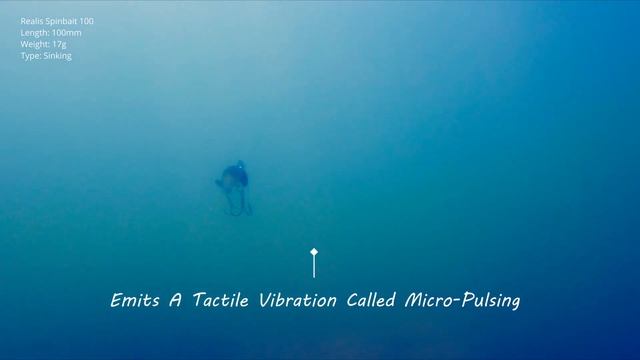 Lures in Motion : The Realis Spinbait 100 смотреть онлайн